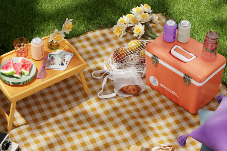 Cheap picnic necessities
